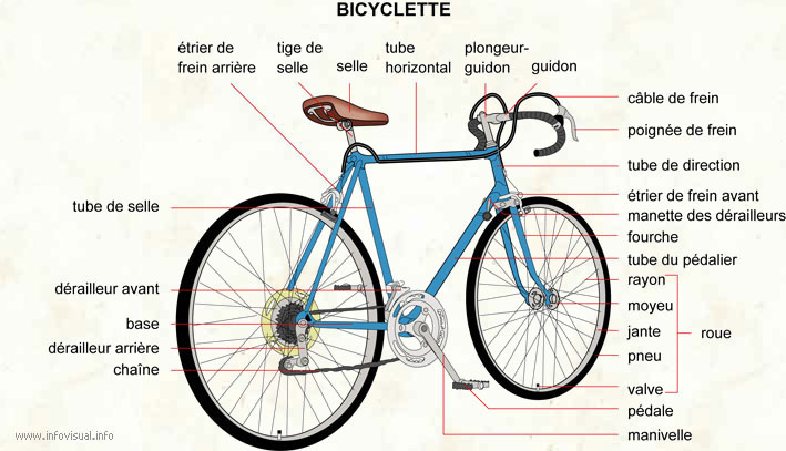 Bicyclette (Dictionnaire Visuel)